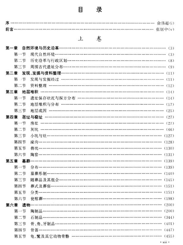 舞阳贾湖 （上下 全2册）PDF电子版  下载插图